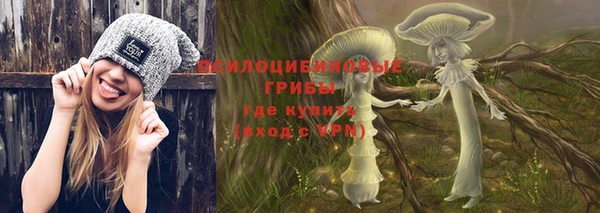 ешки Белокуриха