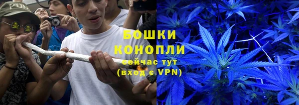 ешки Белокуриха