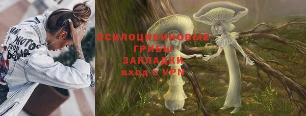 ешки Белокуриха