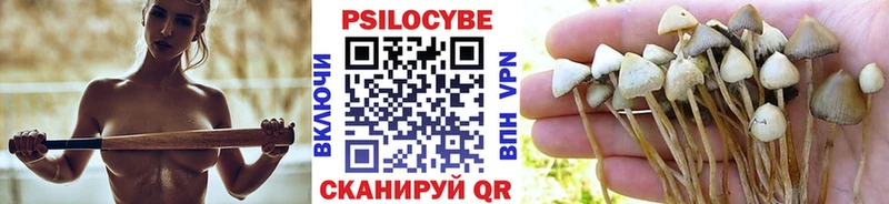 дарнет шоп Семикаракорск мега сайт Псилоцибиновые грибы Psilocybe